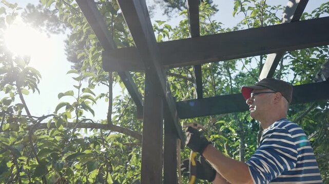 Man building a wooden pergola with a hammer in a sunny backyard surrounded by green trees. DIY home improvement project outdoors.