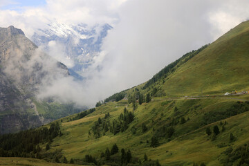 Fototapeta premium Beautiful Alpine scenery on the train ride to Small Scheidegg, Switzerland