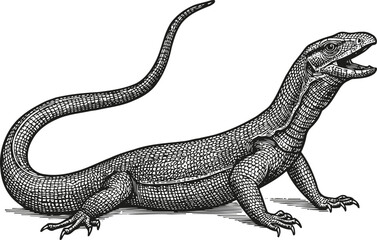 Fototapeta premium Detailed vintage illustration of a monitor lizard with textured scales and long tail