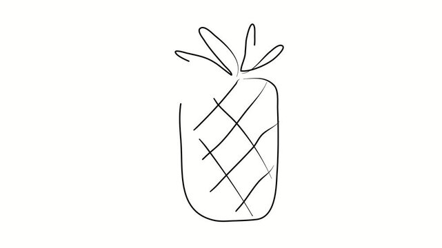 Pineapple, fruit, exotic. Contour drawing, silhouett animation. Continuous line. Isolated on white. Video 4k object illustration self-drawing. Object construction. Minimalist continuous line drawing s
