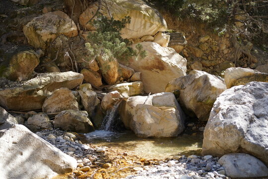 Idyllic water with small cascades and pooles surrounded by oleander and pine trees at Avakas Gorge Canyon 