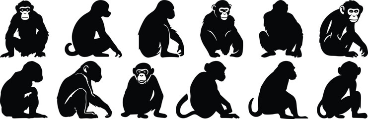 Chimpanzee silhouettes set, monkey sitting and crouching poses isolated on white background vector illustration collection © MstMousumi