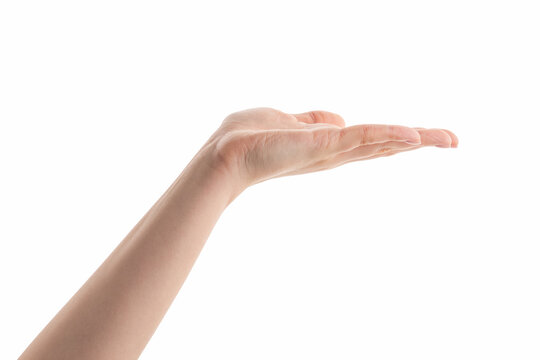 Young woman hand hold something with flat palm isolated on white