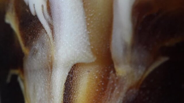 4K Macro close-up of fresh milk pouring into black coffee, creating smooth creamy swirls and rich brown patterns, Abstract liquid texture with dynamic motion perfect for beverage and refreshment conce