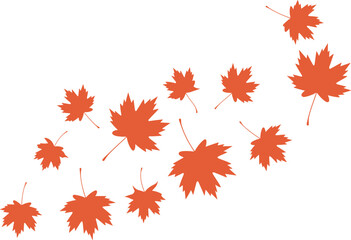 Orange maple leaves collection isolated on white background, autumn fall foliage elements set, flat vector illustration for seasonal design, decoration and Thanksgiving theme