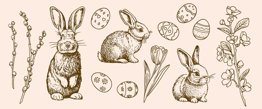 Easter hand drawn set with bunny, spring flowers and eggs. Vintage engraved drawings collection.