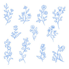 Fototapeta premium Spring flowers with petals and leaves, hand-drawn. Vector illustration. Collection of summer plants and wildflowers, isolated on a white background. Summer, meadow, garden, and Easter themes.