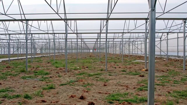 Steel Greenhouse Construction Structure in Agricultural Area