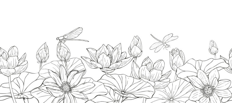 Blooming lotus flowers, aquatic leaves, and dragonflies in flight etching monochrome seamless banner. Blooming waterlily and flying insects vector isolated illustration for fabric, wallpaper border
