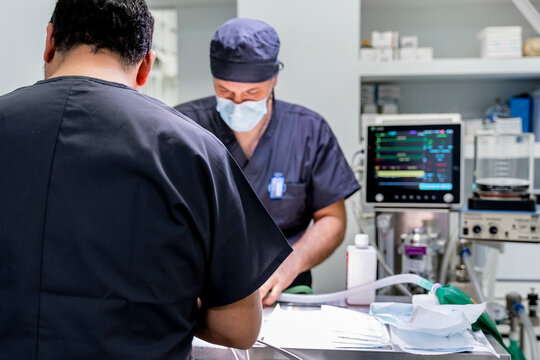 Veterinarian and assistant in a surgery in clinic