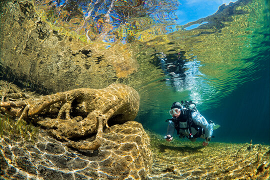 Austria, Tyrol, Lake Fernsteinsee, tree under water with a diver