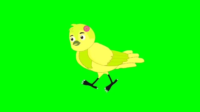 Bird walking character. Animal walker character. Walking cartoon character with green screen video animation with chroma key.