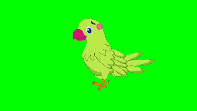 Parrot walking character. Animal walker character. Walking cartoon character with green screen video animation with chroma key. Parrot green screen video.