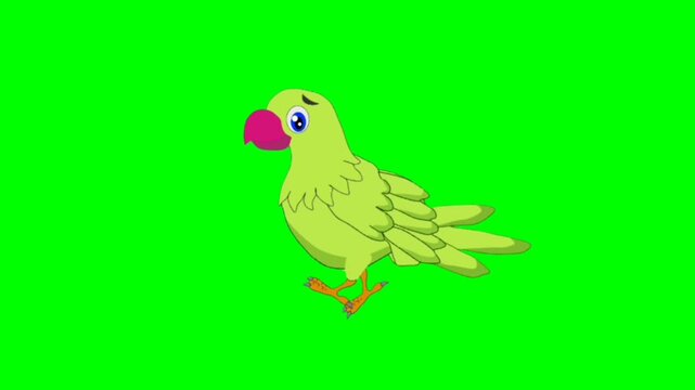 Parrot walking character. Animal walker character. Walking cartoon character with green screen video animation with chroma key. Parrot green screen video.