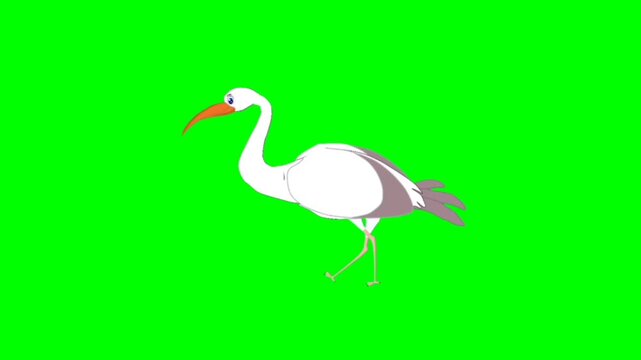 illustration of a white crane, crane on a branch. Stork walking character. Bird walker character. Walking cartoon character with green screen video animation with chroma key. Crane green screen video.