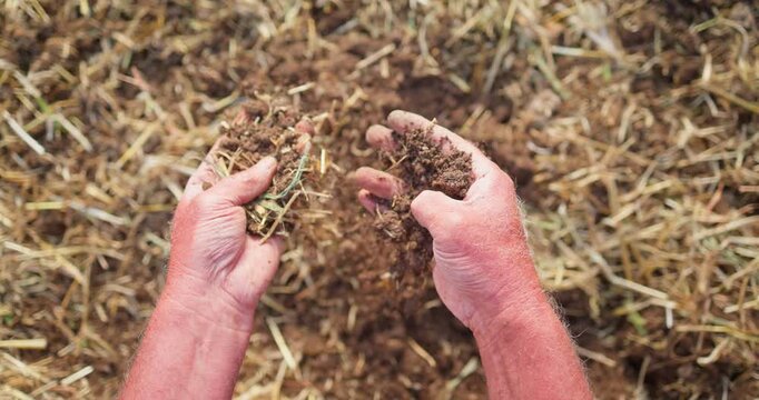 Farmer Hands in Soil And Compost Sifting organic ground Over Straw Field For eco sustainable farming