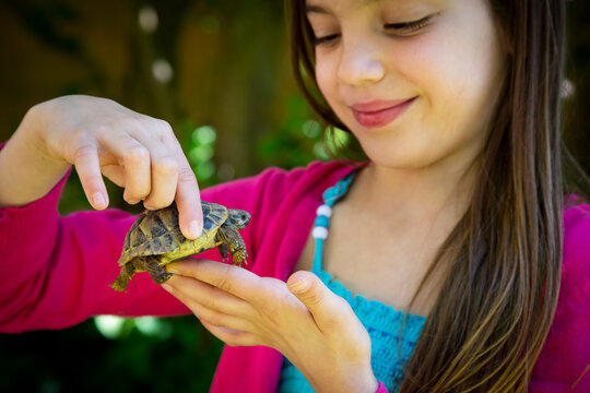 Smiling girl's hands holding small tortoise