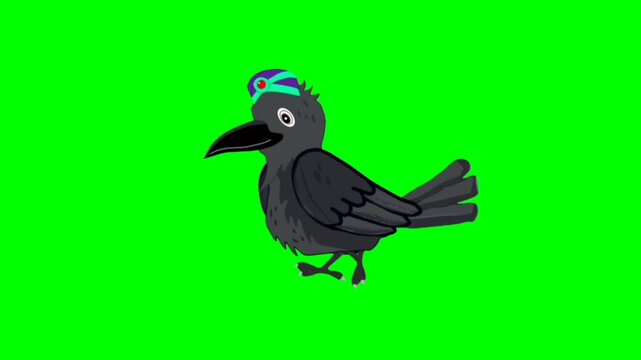 Black Crow walking character. Animal walker character. Walking cartoon character with green screen video animation with chroma key. Bird green screen video.