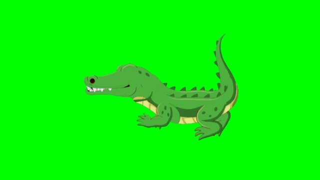Crocodile walking character. Walking animal cartoon character with green screen video animation with chroma key.