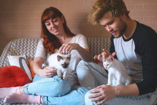 Young couple with kittens on the couch at home