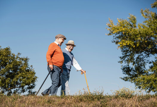 Two old friends taking a stroll through the fields, talking about old times