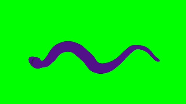 Snake animation video. Snake walking character. Walking animal cartoon character with green screen video animation with chroma key.