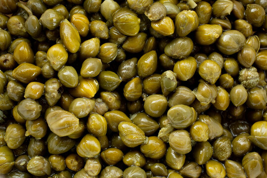 A top down view of a pile of canned nonpareil capers, as a background.