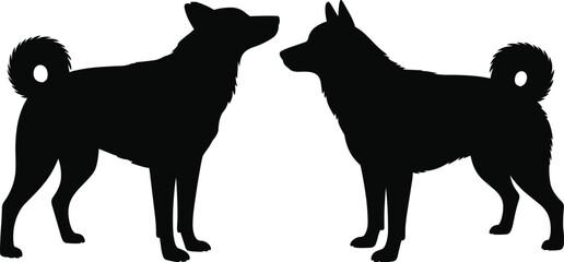 Husky dog silhouette set isolated on white for pet grooming branding, sled dog racing logo, animal shelter icon, and canine © MdSirajul