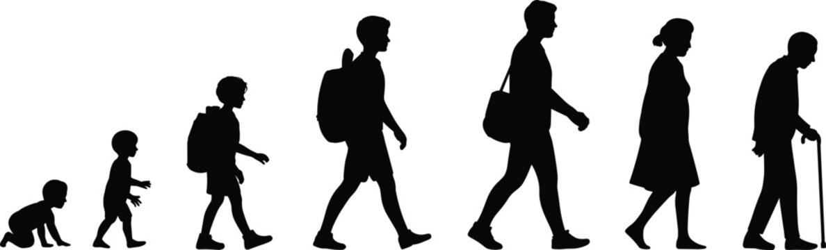 Silhouettes of human life stages from baby to elderly person walking evolution development