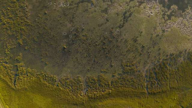 Aerial view of textured grasslands meeting the water's edge, a tapestry of green and brown hues, Knysna, Western Cape, South Africa.