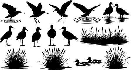 Water Bird Silhouette Set - Heron, Crane, and Duck Wildlife Vector Collection