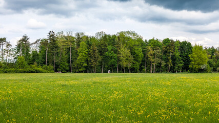 Obraz premium Meadow shrine in front of dense forest, Germany