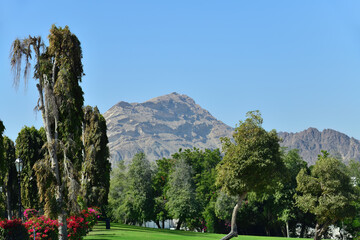 Scenery of Oman. Muscat