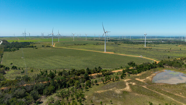 Aerial view of towering wind turbines pierce the sky above vast green fields, a symphony of nature and technology harmonizing, Gqeberha, Eastern Cape, South Africa.