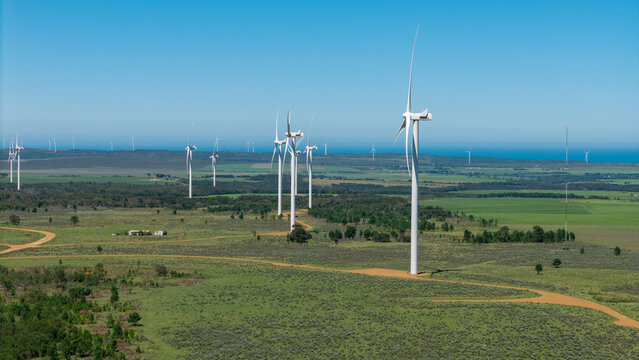 Aerial view of rows of wind turbines stand tall against the horizon, a clean energy landscape, Gqeberha, Eastern Cape, South Africa.