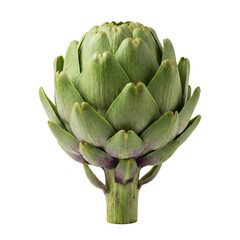 Obraz premium Fresh Green Artichoke Vegetable Healthy Food isolated on transparent background