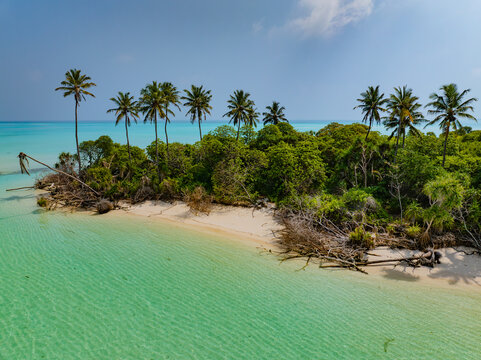 Aerial view of palm trees lining the shore with turquoise waters lapping against the sandy beach, Hoarafushi, Thiladhunmathee Uthuruburi, Maldives.