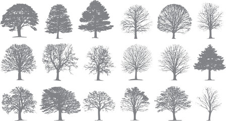 Collection of grey deciduous and coniferous tree silhouettes in various shapes and sizes © Pixel Park