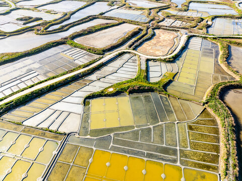 Aerial view of geometric salt pans shimmering under the sun, creating a mosaic of golden and silver hues in the landscape, Guerande, Bretagne, France.