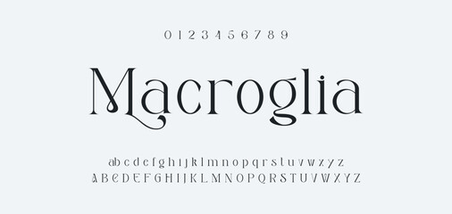 Obraz premium Elegant Font Uppercase Lowercase and Number. Classic Lettering Minimal Fashion Designs. Typography modern serif fonts regular decorative vintage concept. vector illustration