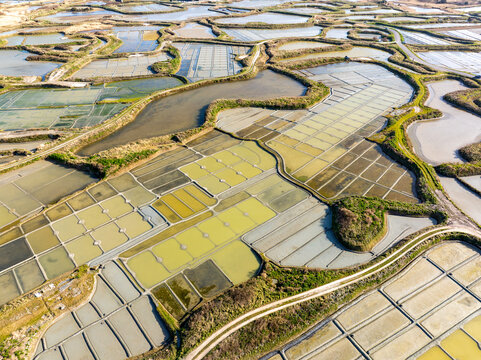 Aerial view of geometric salt marshes shimmer with pale yellows and blues, bordered by earthy paths, creating a mosaic across the landscape, Guerande, Bretagne, France.