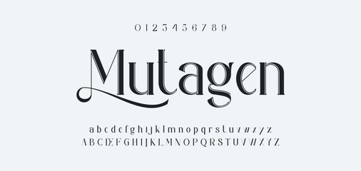 Obraz premium Elegant Font Uppercase Lowercase and Number. Classic Lettering Minimal Fashion Designs. Typography modern serif fonts regular decorative vintage concept. vector illustration