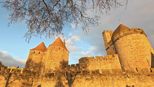 Cite de Carcassonne at sunrise, France 