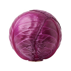 Obraz premium A vibrant digitally rendered red cabbage with detailed texture and shading presented on transparent background