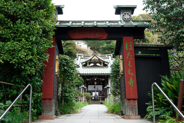 新緑の常栄寺 3月下旬