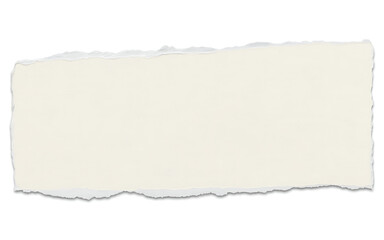 Fototapeta premium Authentic Ripped Paper Clipping in a Light Neutral Tone with Natural Shadow Detail, Ideal for Mockups or Label Designs