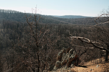 Rock formations at Orlove Stene viewpoint in Fruska Gora, Serbia overlooking a vast forest valley. Rugged terrain and clear sky highlight adventure and nature travel themes © Ekaterina