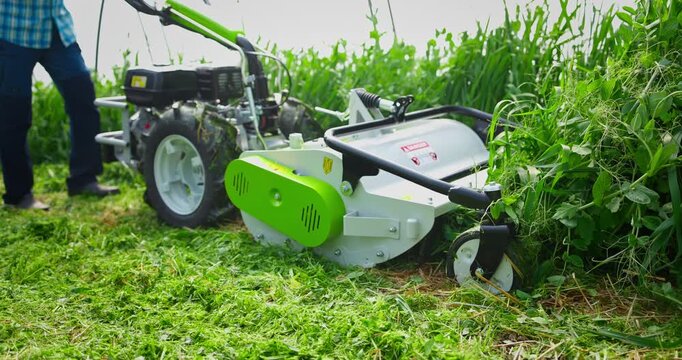 Farmer tilling cover crops soil for healthy organic compost, mulching plants in greenhouse, worker mowing lawn mower shredder on green grass