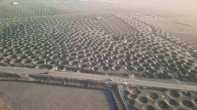 Aerial images of vineyards grown in small volcanic craters on the island of Lanzarote, and the Canary Islands, in Spain, during sunset, 4k 30fps 1 inch sensor DJI, drone image