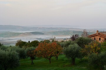 Obraz premium Autumn Morning Countryside near Pienza, Tuscany, Italy
